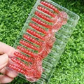 GD61 12PCS 11