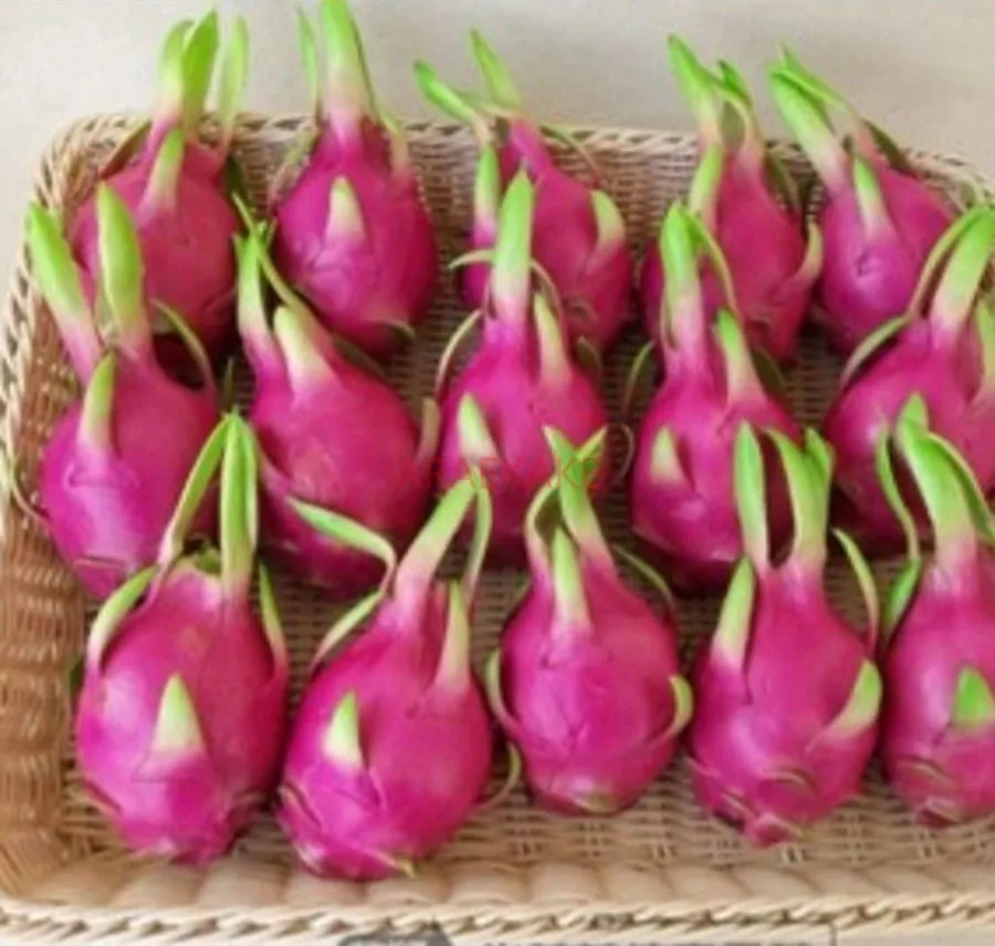 1pcs Dragon Fruit Ornaments Fruit Model Prop Simulation Fruit Home Simulation Pitaya Decoration Artificial Pitaya Model