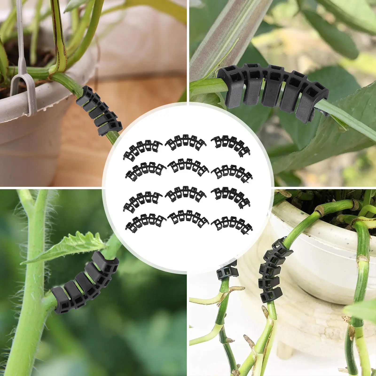

100 pcs Plant Support Clips Cucumber Tongs Pepper Tongs Tomato Cucumber Aggregate Vine Tongs Stem Fixing Clip Garden Accessories
