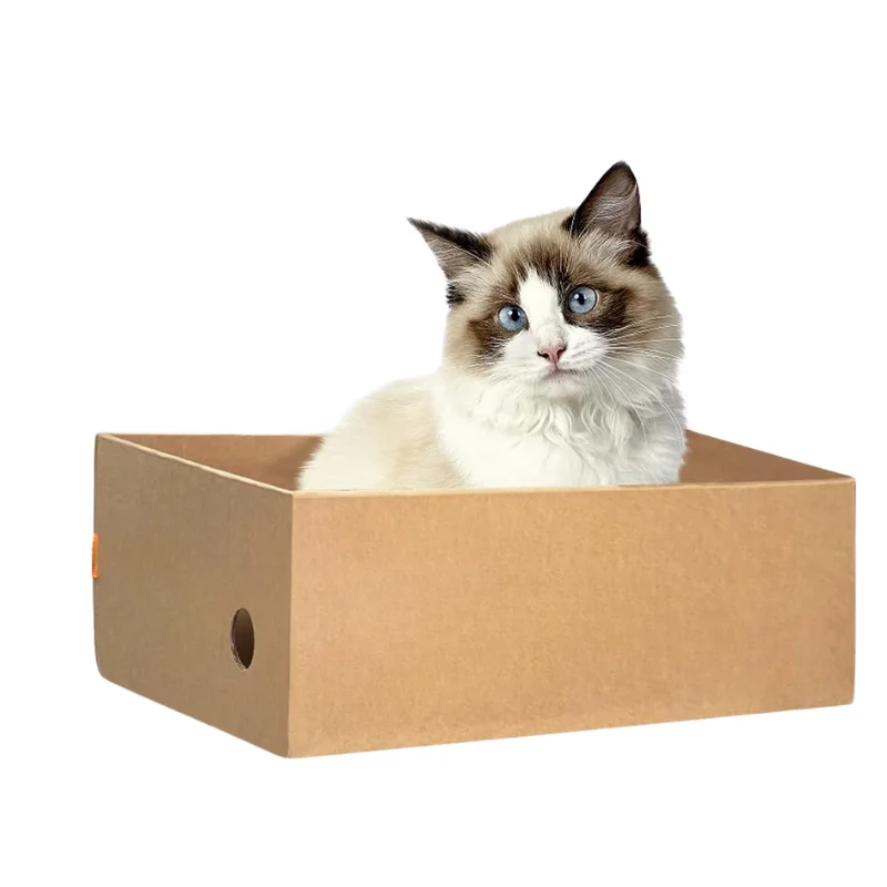 Cardboard Cat Scratching Set 2
