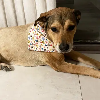 10/40/80 件裝,4 種尺寸可選,100% 純棉透氣狗狗頭巾,中大型犬適用,寵物頭巾,包郵 10 最佳銷售 寵物頭巾 - №8