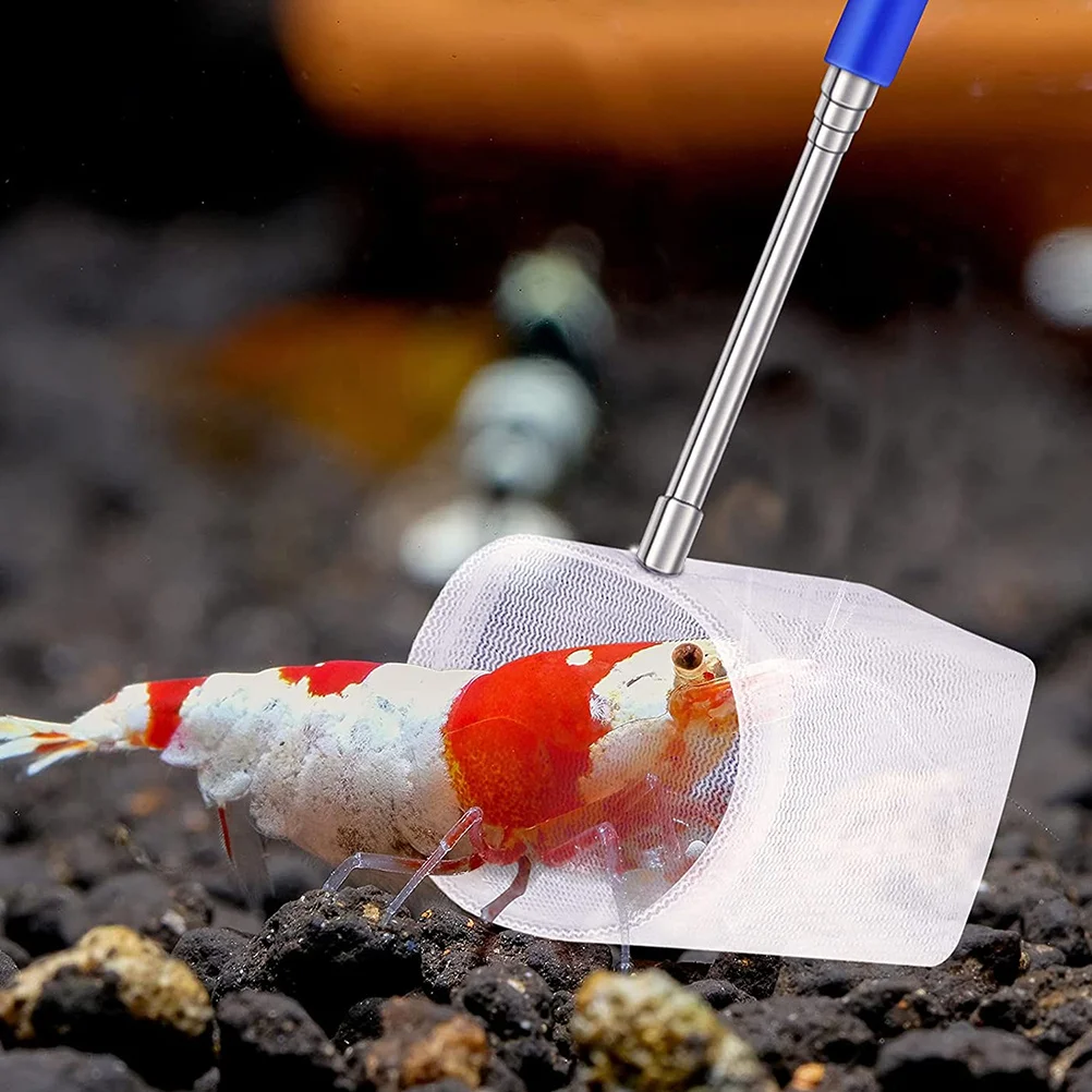 rede-de-camarao-de-malha-fina-com-alca-extensivel-rede-de-pesca-leve-para-aquario-para-tanques-betta-captura-de-peixes-pequenos-e-tanque-2-pecas