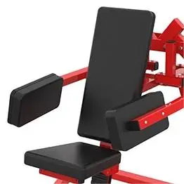 Gym Equipment Metal Lateral Raise Fitness Equipment for Strength Training