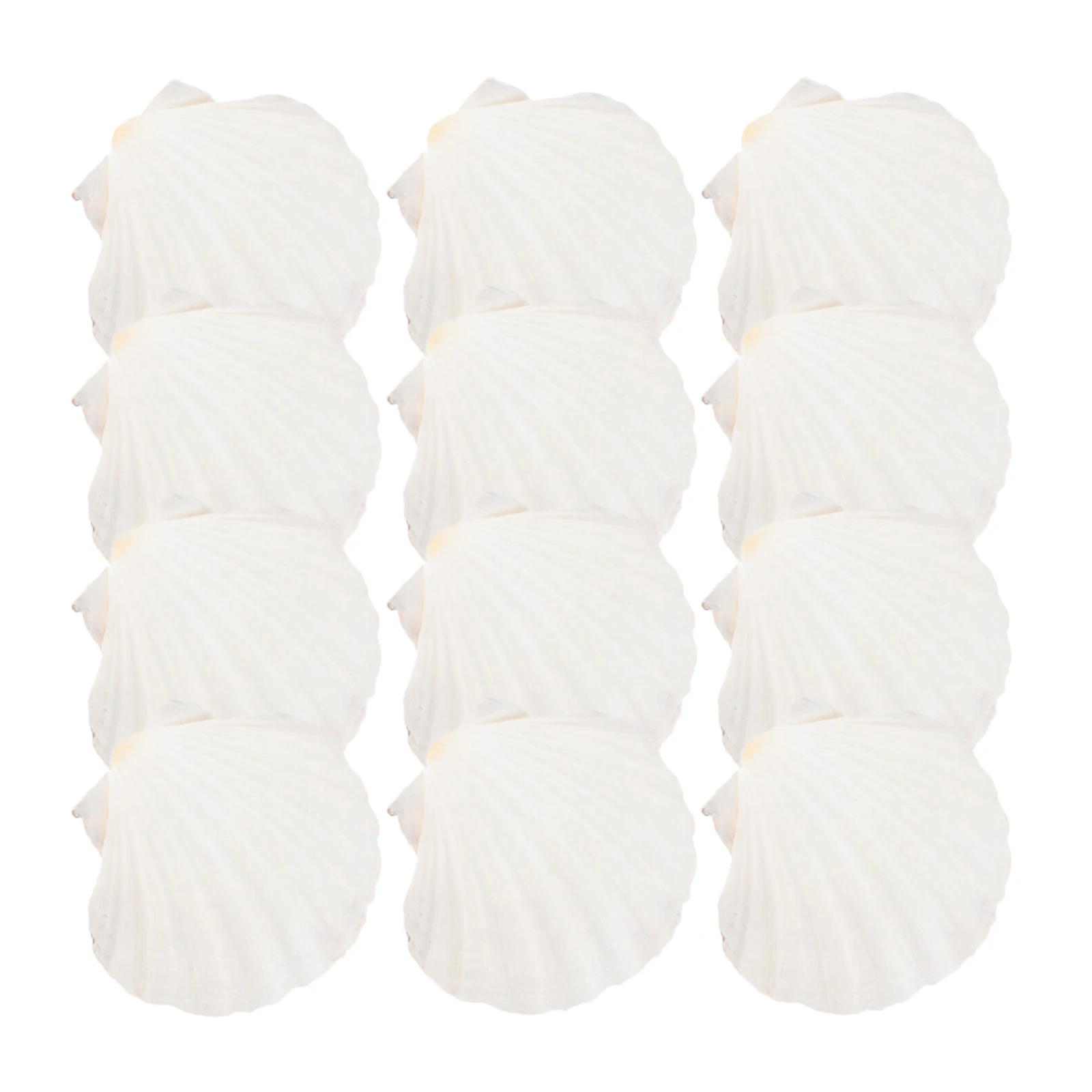 

20Pcs Reusable Shell Plates Set - Natural Scallop Shells for Baking Seafood Serving DIY Craft Beach Ocean Tableware Portable