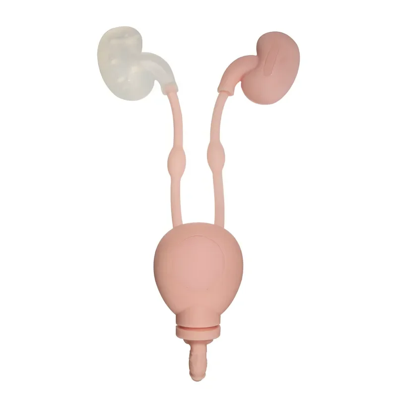 All Silicone Medical Simple Double Kidney Training Model for Medical Science Teaching
