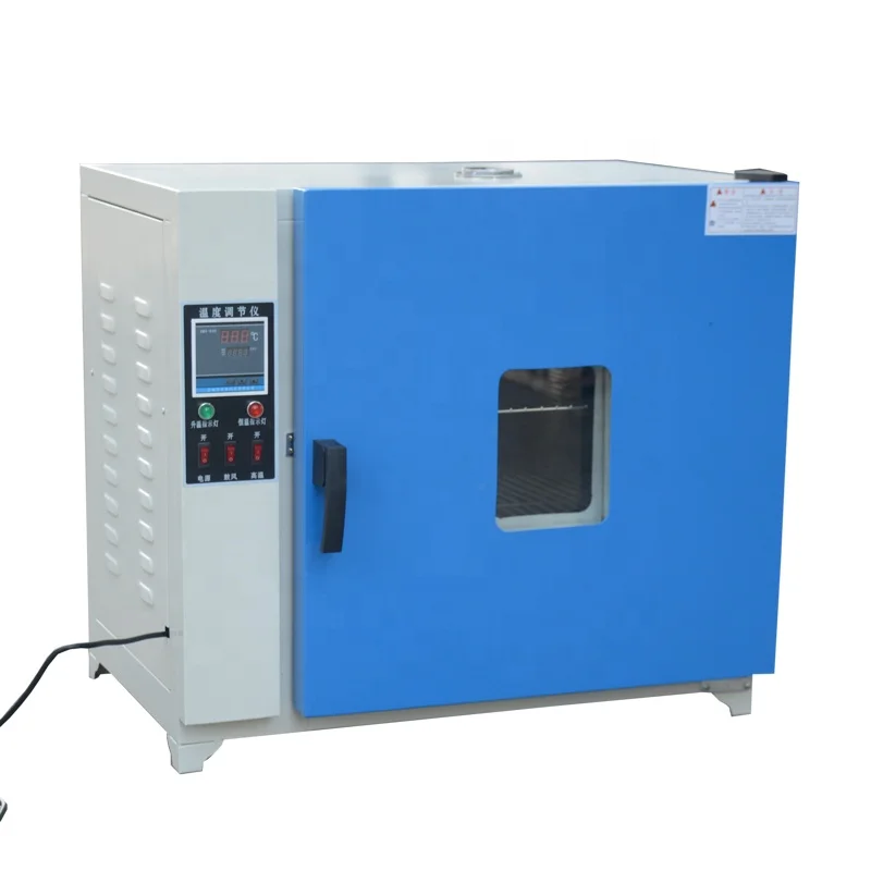 220V Electric Blast Drying Oven with Lab Heating Core Component Engine for Food Processing