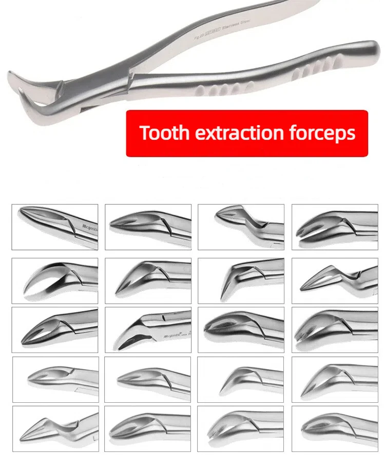 

1pc High Quality Dental Adult Tooth Extraction Plier Forcep Teeth Extraction Plier Forcep Dental Surgical Tool Instrument