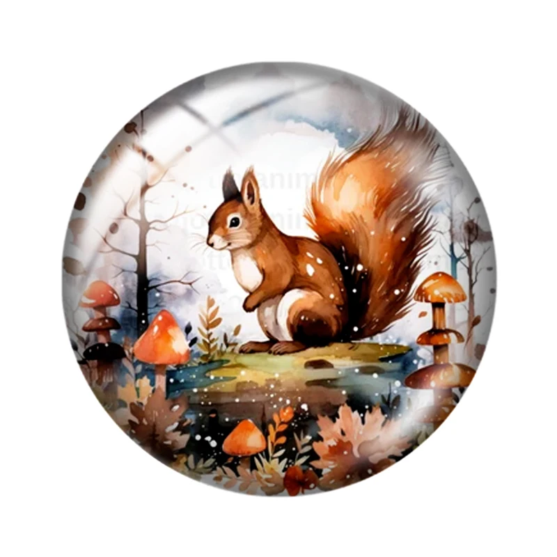 Watercolor Squirrels mixed 10pcs 12mm/18mm/20mm/25mm Round photo glass cabochon demo flat back Making findings