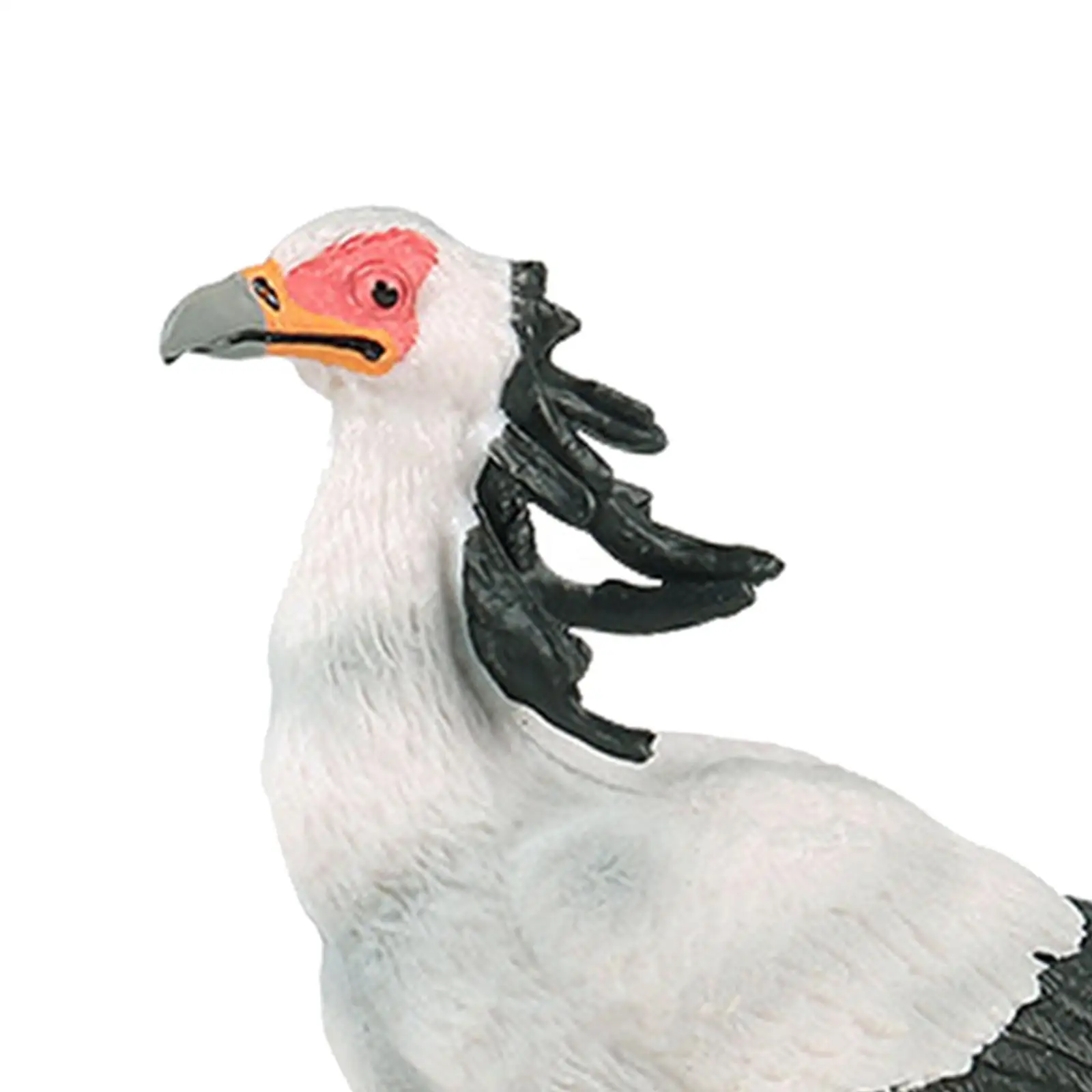 子供のためのリアルな秘書の鳥のフィギュア、リアルなおもちゃ、誕生日プレゼント、パーティー用品