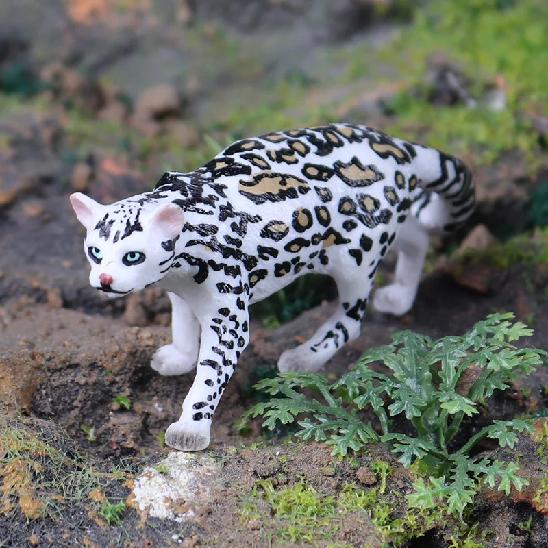 Simulazione figurine di fauna selvatica animali Action Figures Zoo Panther leopardi lupi Fox Lynx Giant Panda Model collezione di giocattoli per