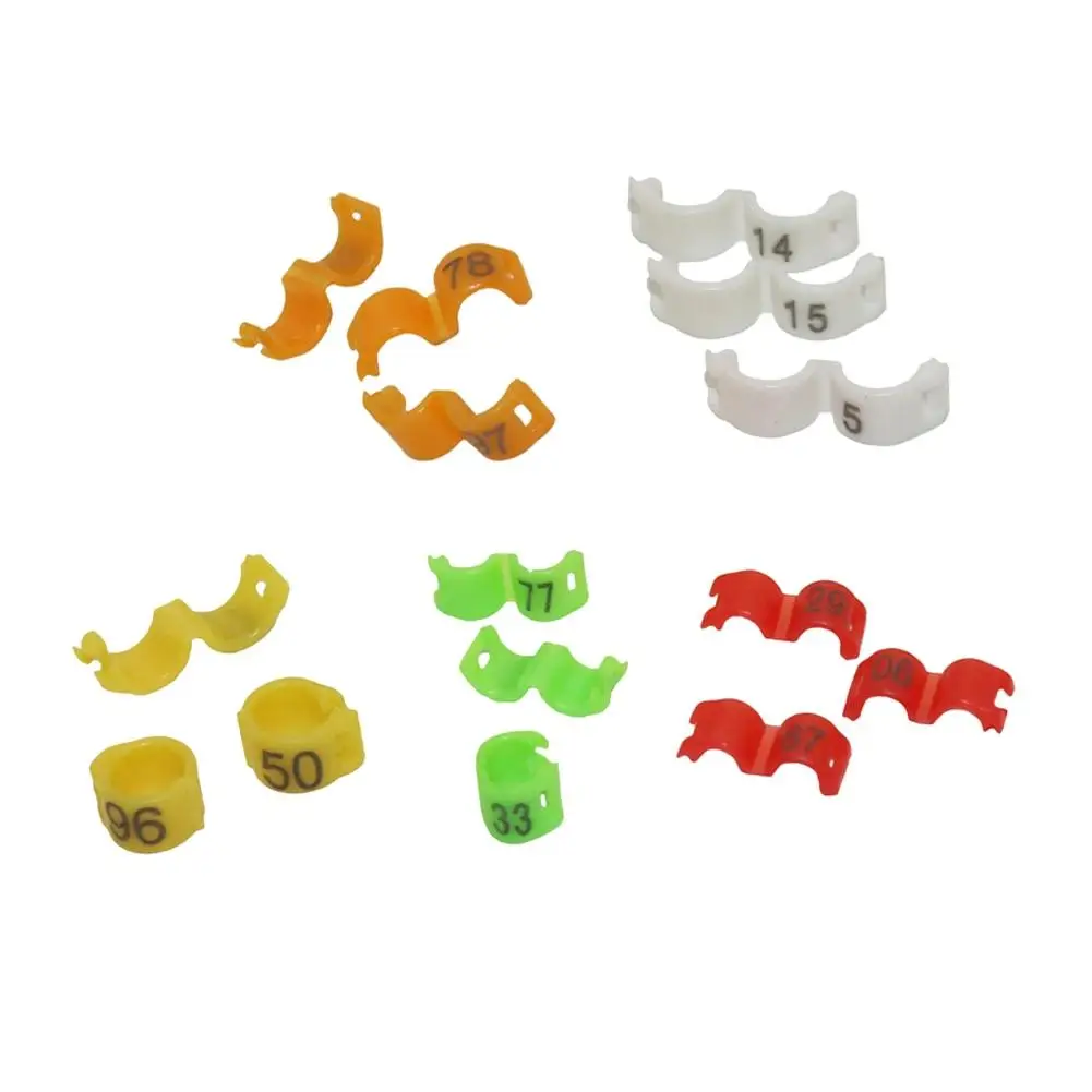 100Pcs Multicolor Bird Foot Ring ID2.7/3/4/4.5/5mm Canary Parrot Pigeon Bird Clip Ring With Word Leg Ring