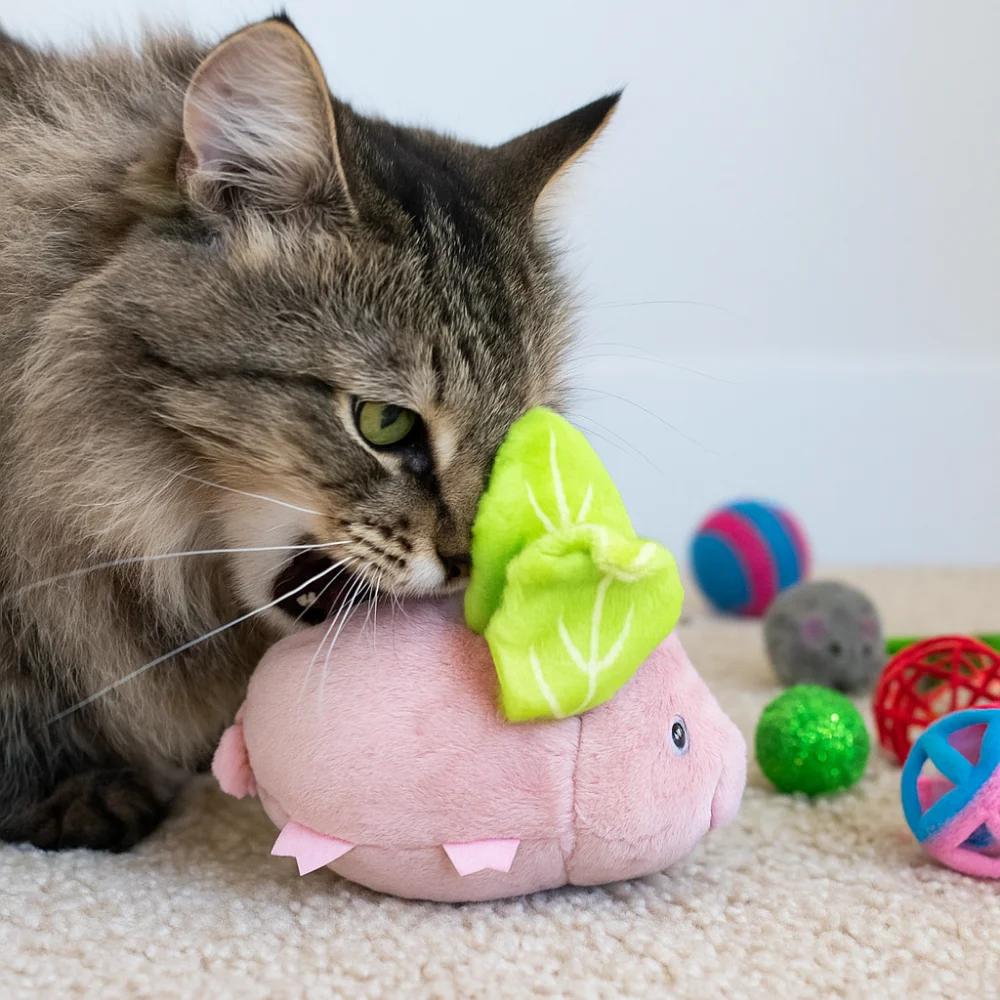 

Funny Interactive Cat Toys Pig Shaped USB Rechargeable Electronic Cat Plush Toy No Flying Touch Activated