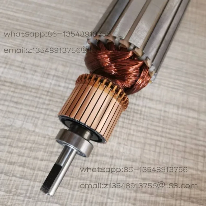 

490/495/595/390/395 Sprayer Motor Rotor Original rotor with bearing set