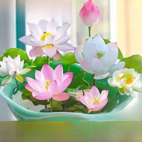 사계절 수경재배 연꽃 씨앗 식물 물그릇 오픈 플랜트 디자인 여성용 반팔 티셔츠 보습 시티워크웨어