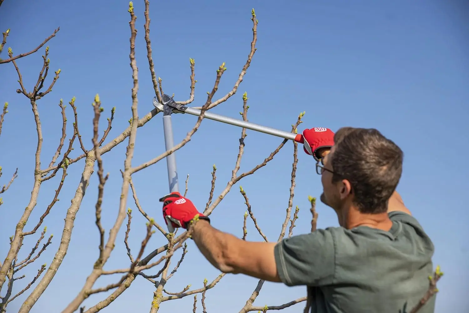 Poda cisalhamento, 231