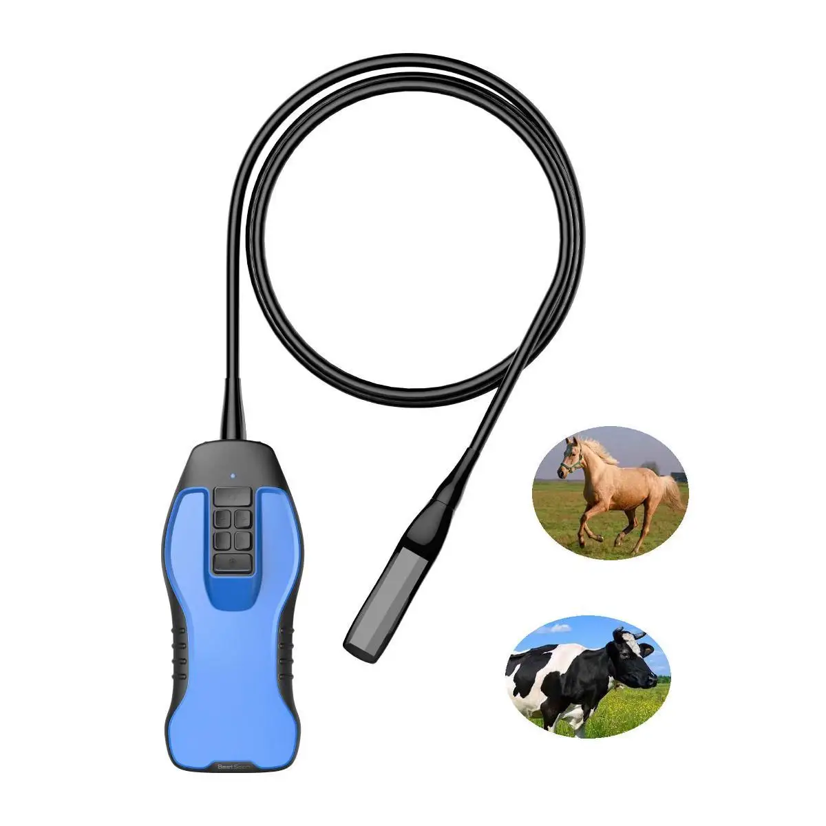 veterinary equipment Vet Full Digital Wireless Portable Mini Cattle Bovine Ultrasound B Scanner with Video Glass