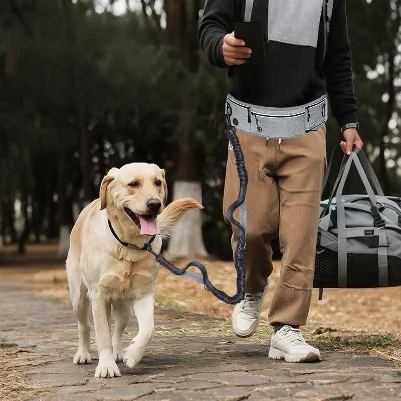 

Reflective Hands Free Dog Leash with Zipper Pouch Wide Padded Waist Dog Running Leash for Medium and Large Dogs