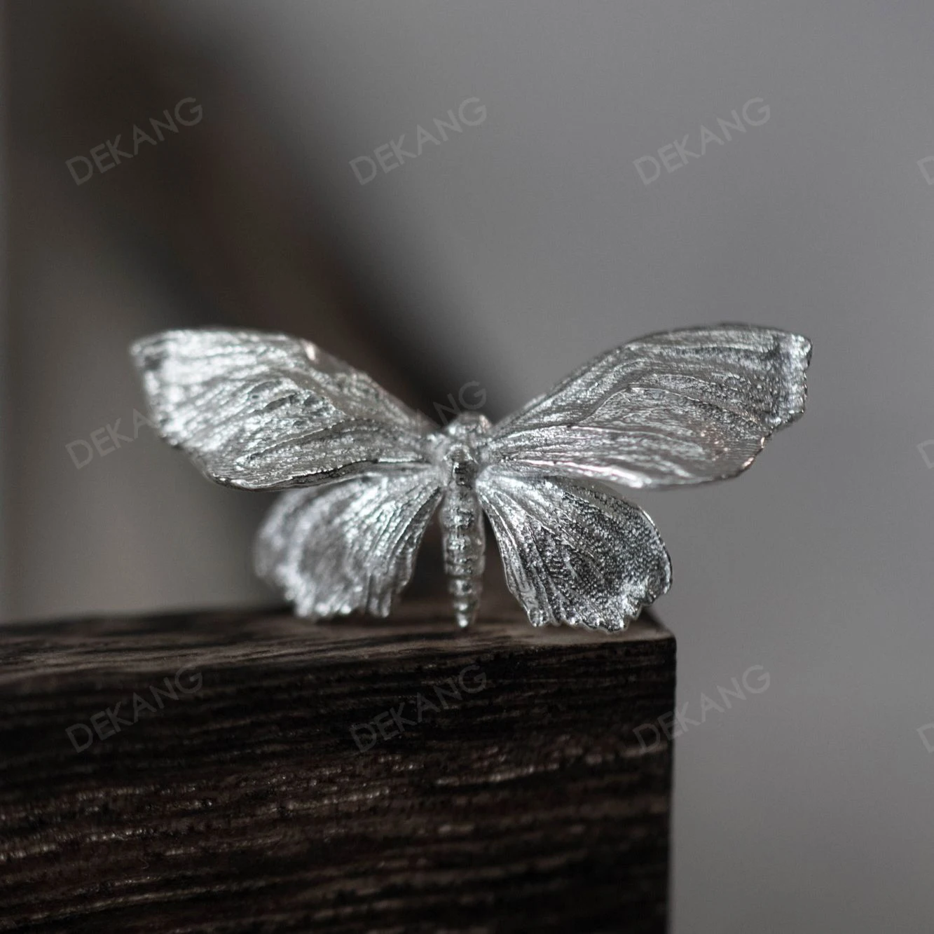 Moths Go Well With Butterfly Earrings