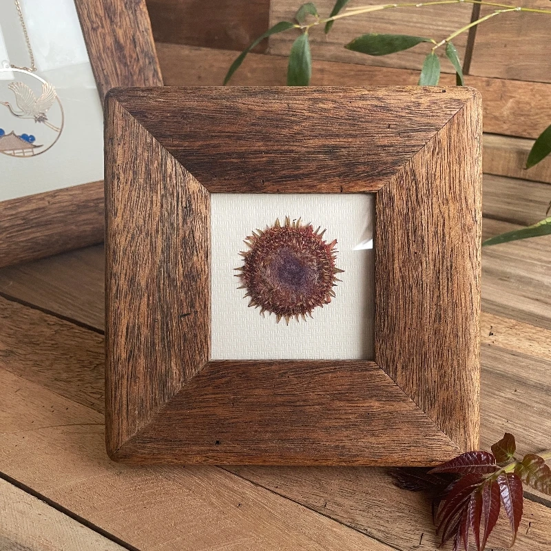 10cm×10cm Solid Wood Photo Frame Retro Mortise and Tenon Creative Log Rural Picture Storge Rack Walnut Ornament