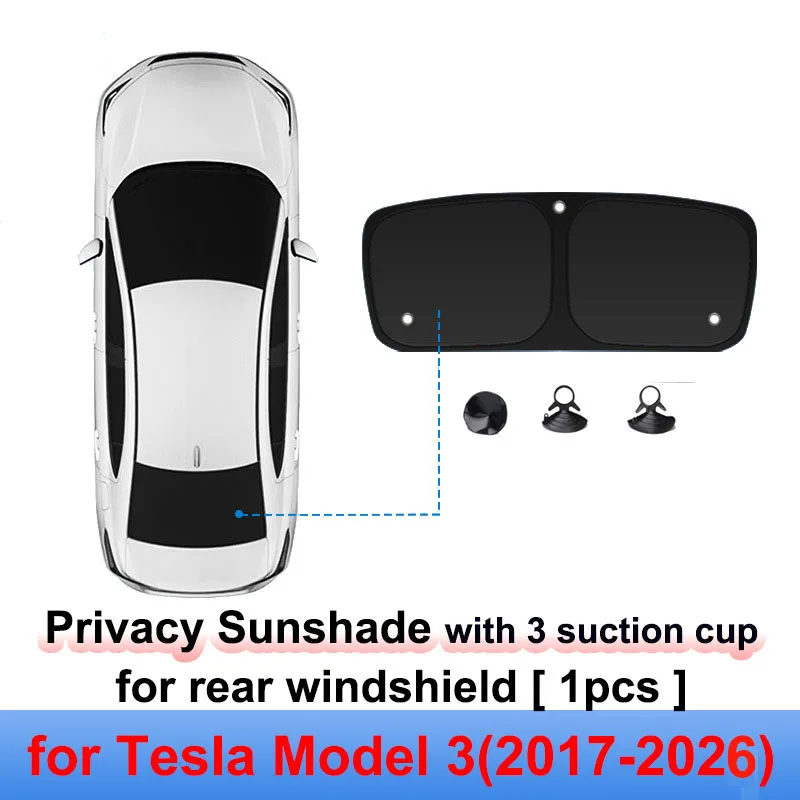Rear Windshield