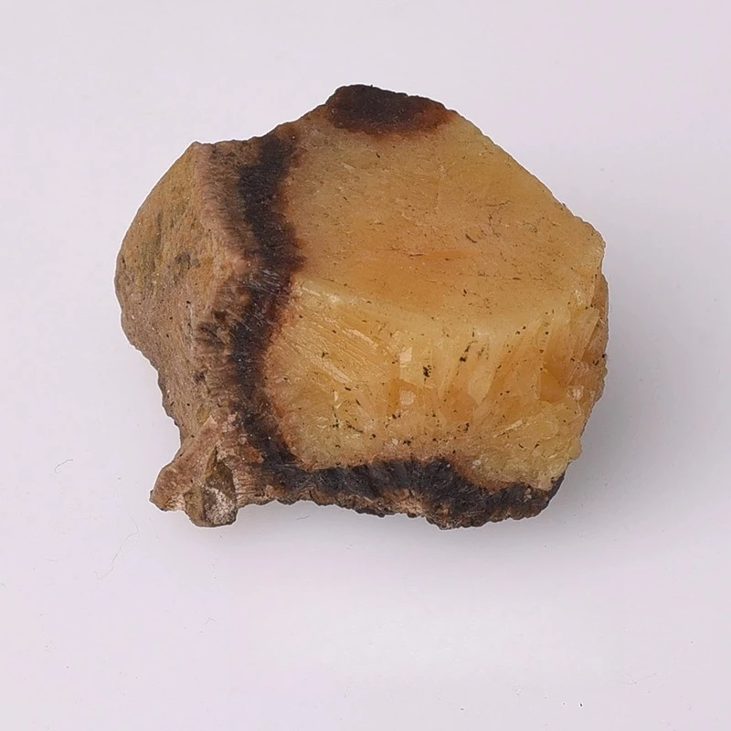 Natural Septarian Rough Stone, Turtle Pattern Dragon Stone with Cream Crystal Raw Stone Veins Unpolished Mineral Specimen