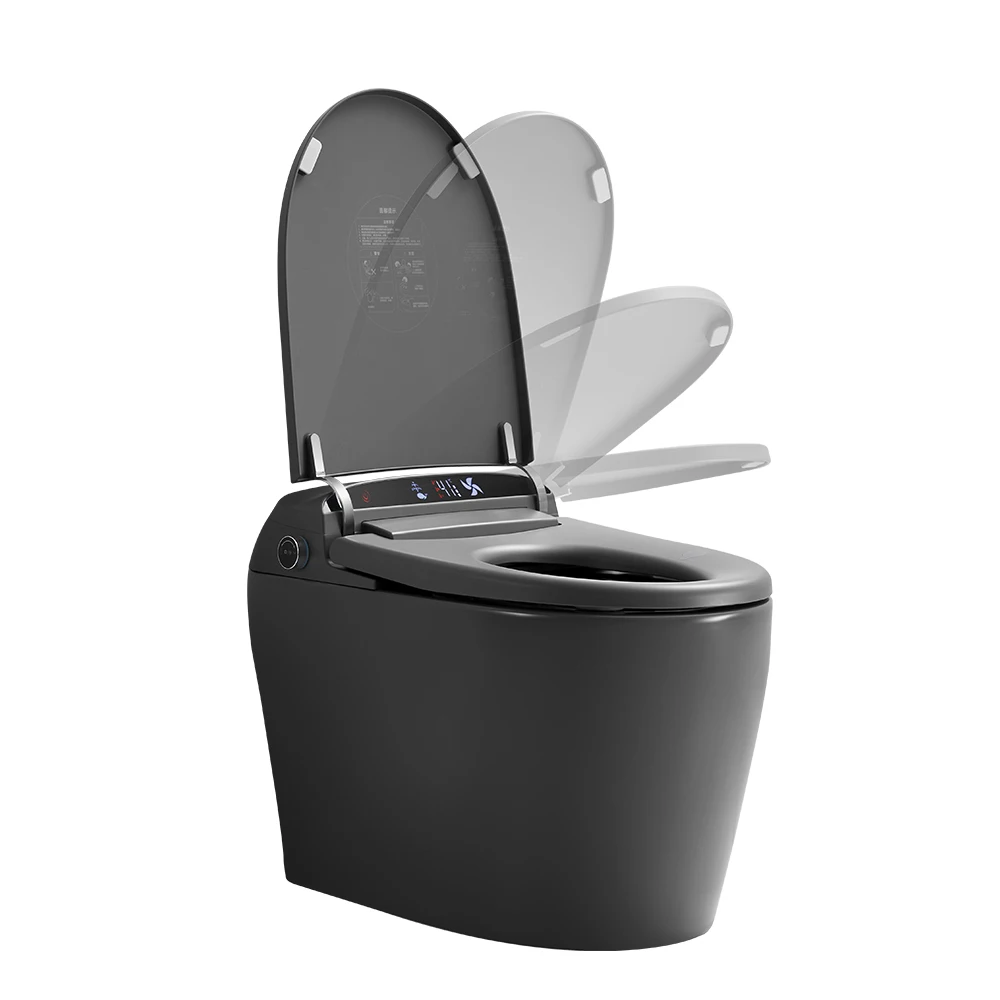 Aodi Matte Gray Automatic Flush Toilet Remote Control Elongated One Piece Smart Toilet