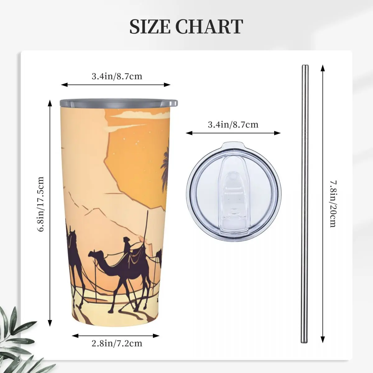 3 Camels Stainless Steel Tumbler Vacuum Insulated Mugs Thermal Cold Bottle Straws With Lid 20oz