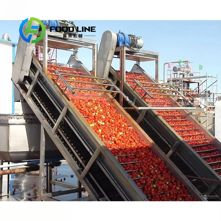 Customizable Tomato Paste Production Line Flexible Configuration For Different Capacity Tomato Processing Requirements