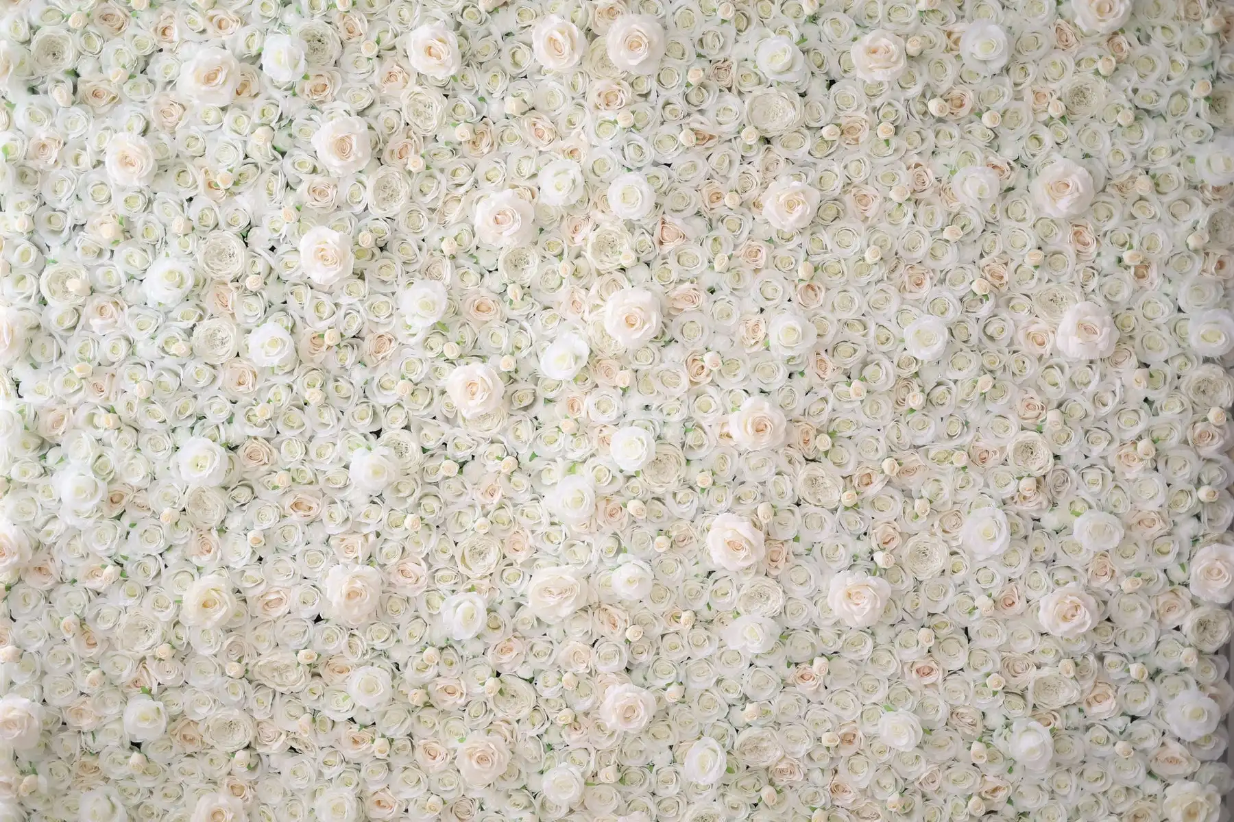 Uflower Royal Luxury 3D beige white Rose Mixed Floral wall Roll curtain fabric Birthday party wedding background decor