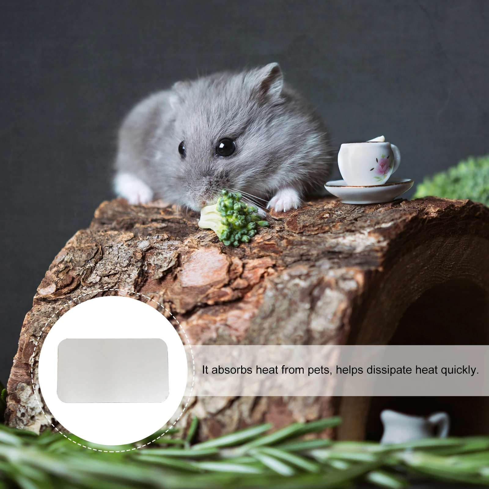 

Pet Cooling Plate For Chinchillas Guinea Pigs Premium Material Heat Absorbing Mat