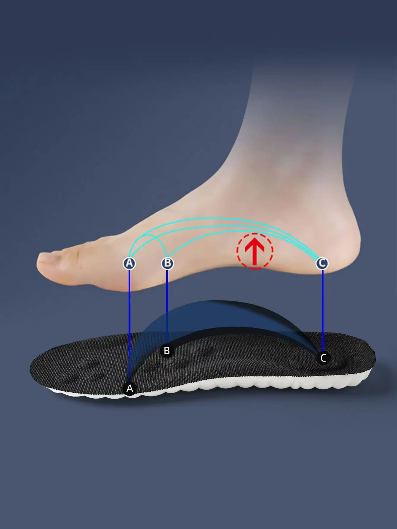 High Elasticity Latex Sports Insoles for Arch Support & Shock Absorption