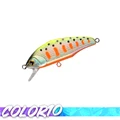 COLOR 10