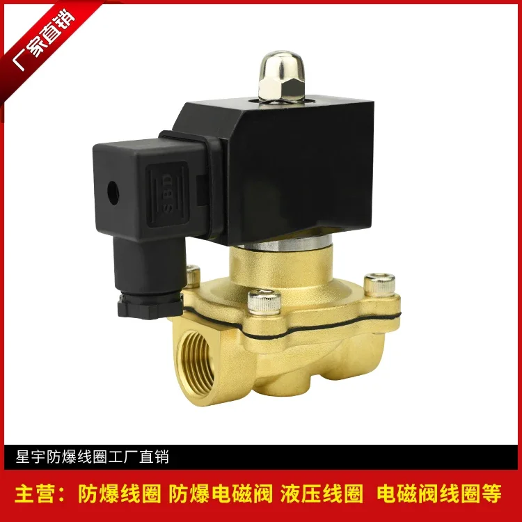 

Electronic 2W160-15 2W200-20 G1/2AC220V DC24V4 points 6 points all copper drain valve