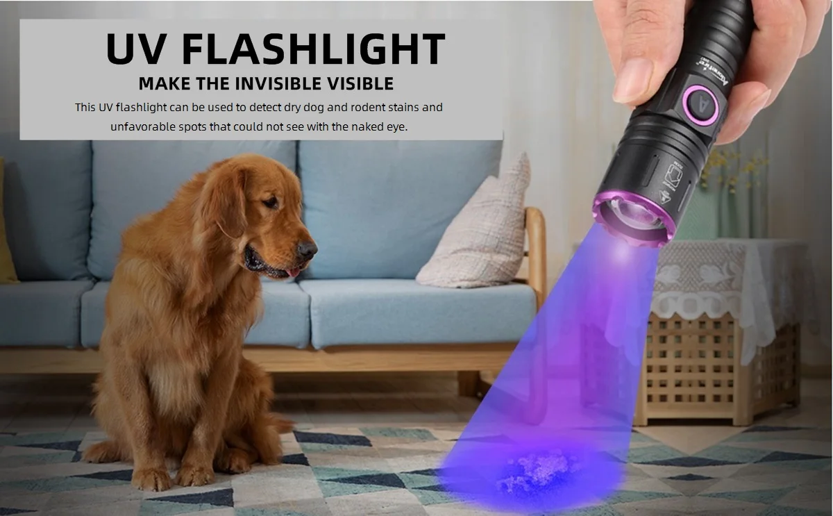15W Hochleistungs-UV-Taschenlampe 395/365nm USB-Aufladbar für Katzen- und Hundeurin, Tinea, Erz, Geld, Skorpion, Fluoreszenzmarker, Violettes Licht – Detail 1