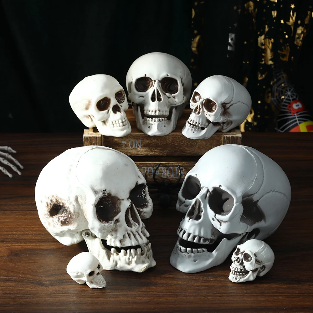 

All Size Artificial Skull Skeleton Halloween Decoration Scary Horror Props Hanging Skull High Quality Model Sculpture Skull Head