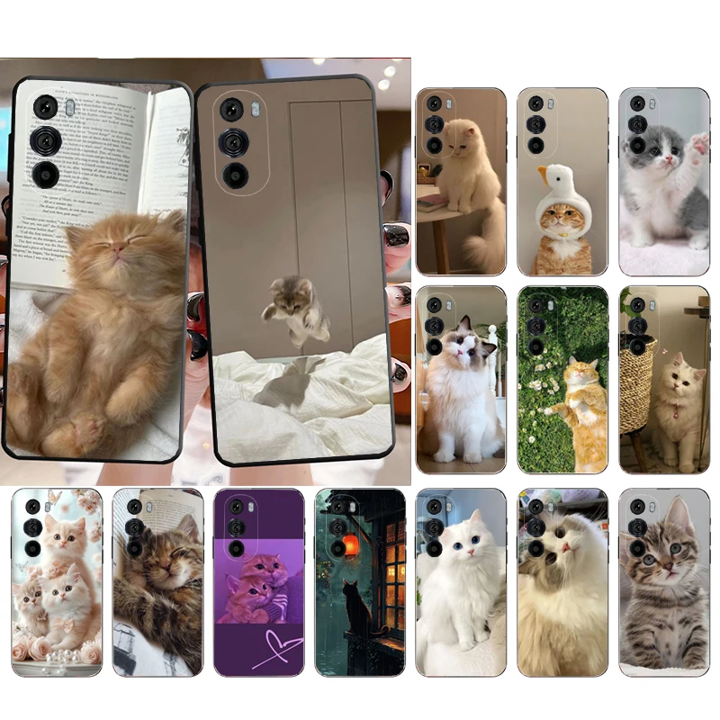 

Phone Case For Motorola Edge 50 40 Pro 60 50 40 30 Ultra Neo Fusion Moto G Play G Stylus G Power G Cute Cat