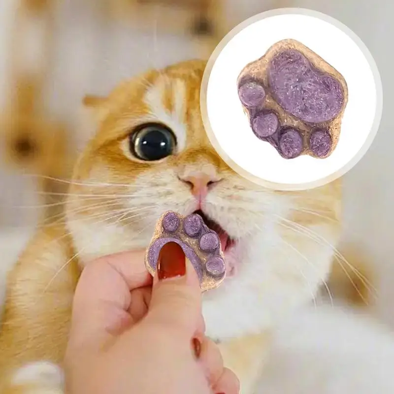 5g Cat Snack Treats Cat Grass Teeth Grinding Stick Cat Claw Snack Biscuits Natural Healthy Cat Treat Paw Shape Dry Kitten Treats