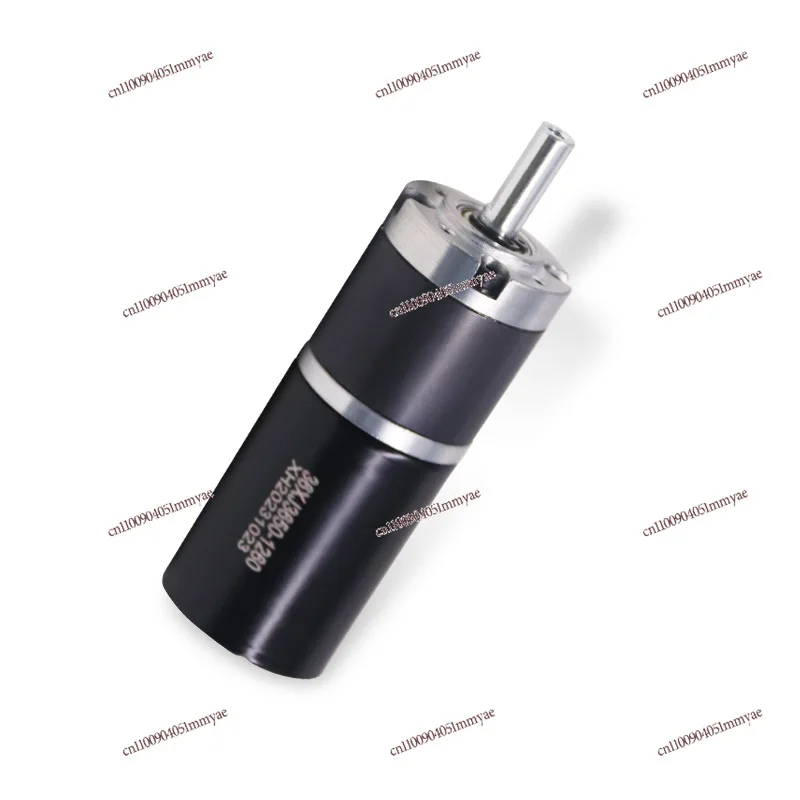 

Adjustable Speed DC Planetary Geared Motor