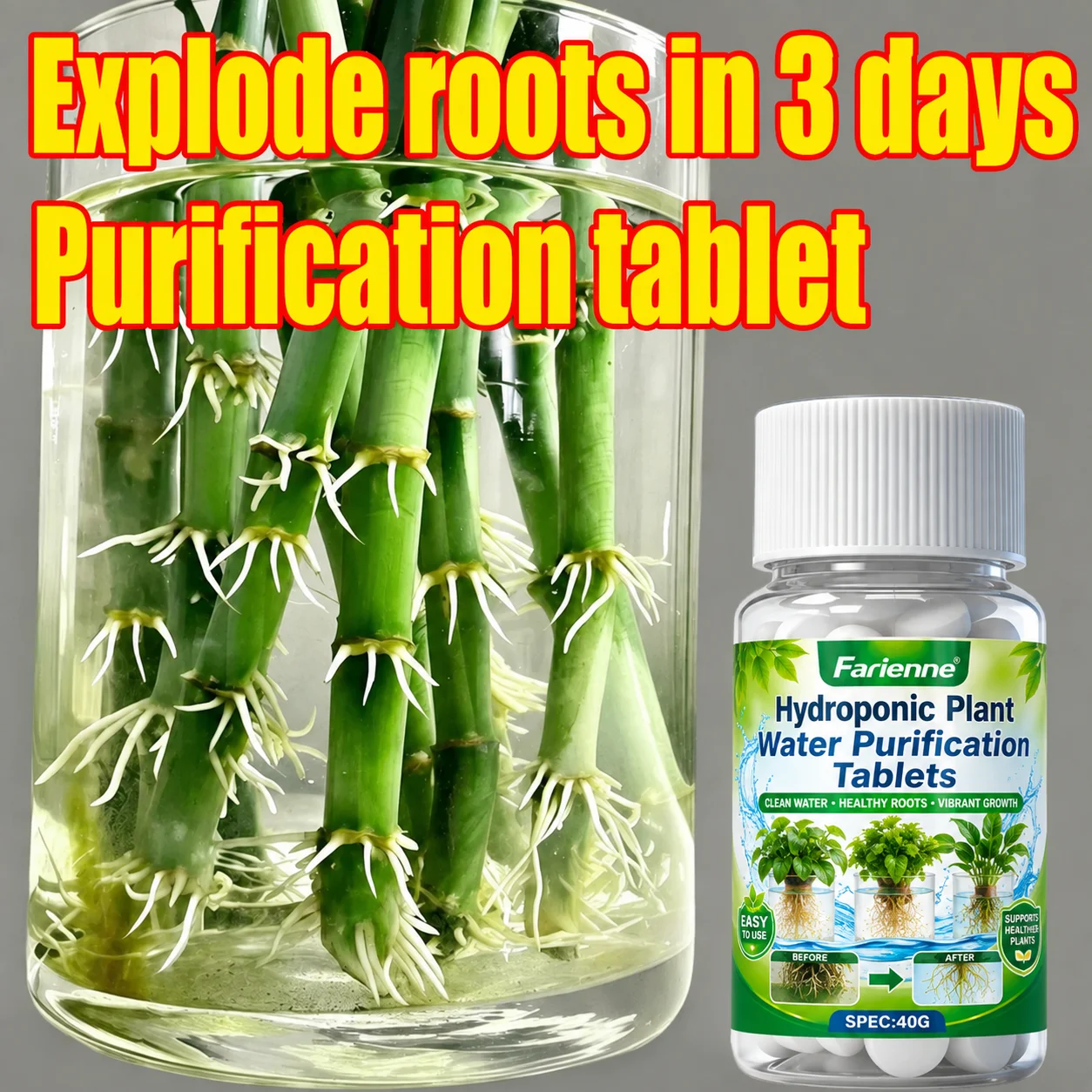 40G Hydroponics Root Maintenance Tablets Water Purifier Anti Root Rot Root Enhancer for Lucky Bamboo Orchid Indoor Water Plants