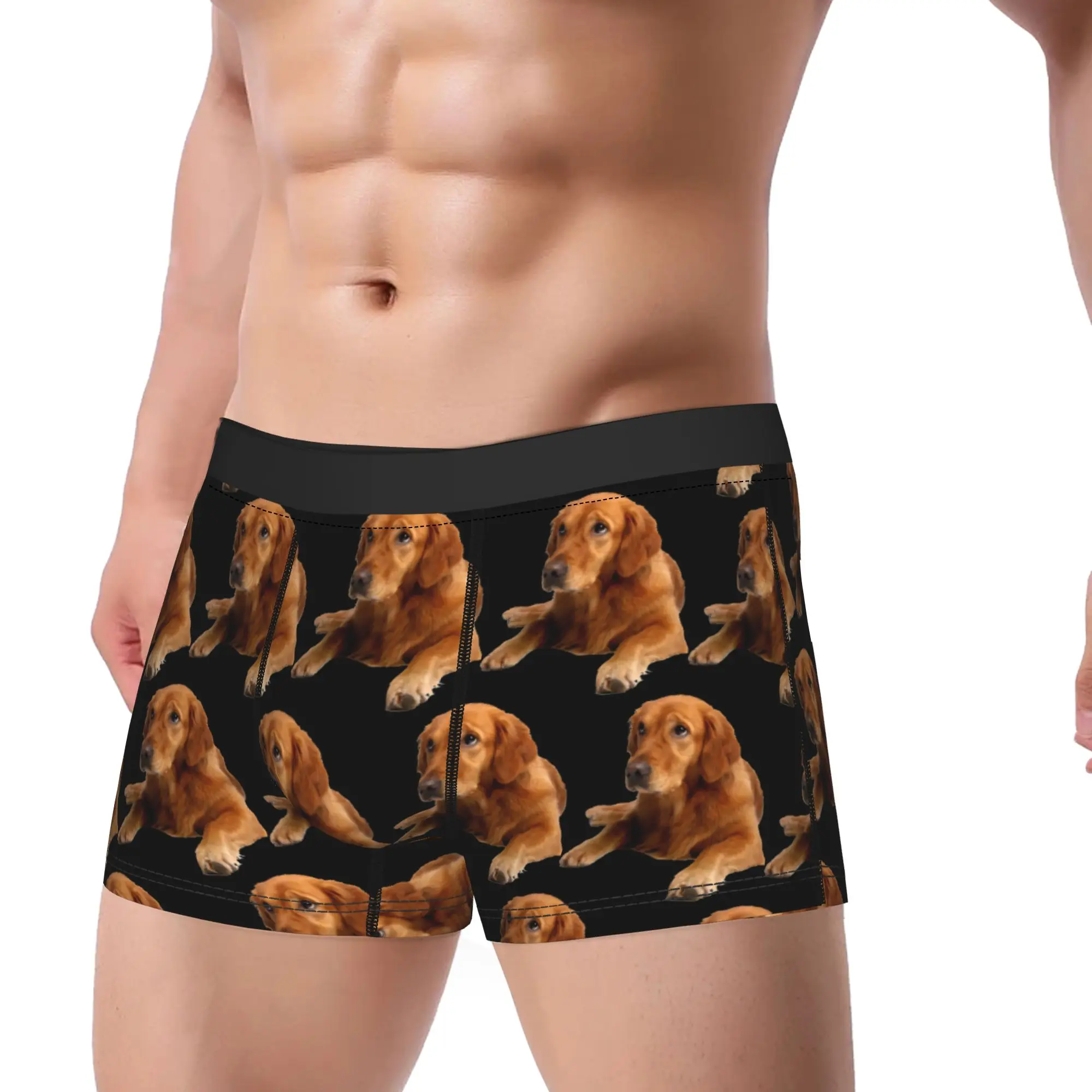 Golden Retriever Lying Down Trunk  3D Pouch Underwear Hot Sale Custom Shorts Briefs Sexy Soft Man Panties Plus Size 2XL