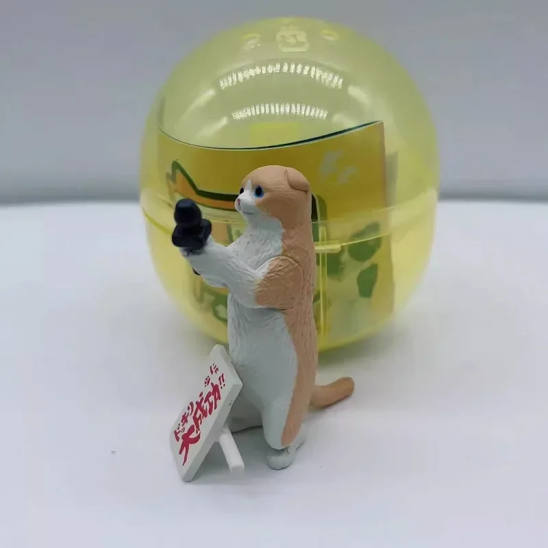 Yell 일본 가샤폰 캡슐 토이 피규어, 귀여운 동물 고양이 촬영 장면 액션 피규어, 애니메이션 미니어처 모델 인형 선물