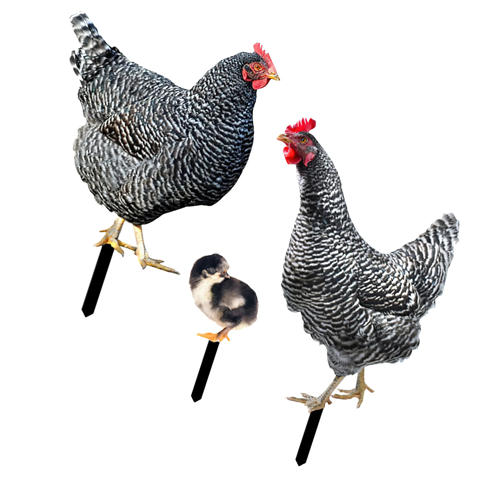 

3Pcs Garden Stake Decorative Chicken Yard Ornament for Outdoor Lawn Garden Decoration Farmhouse Rustic Style Backyard Party