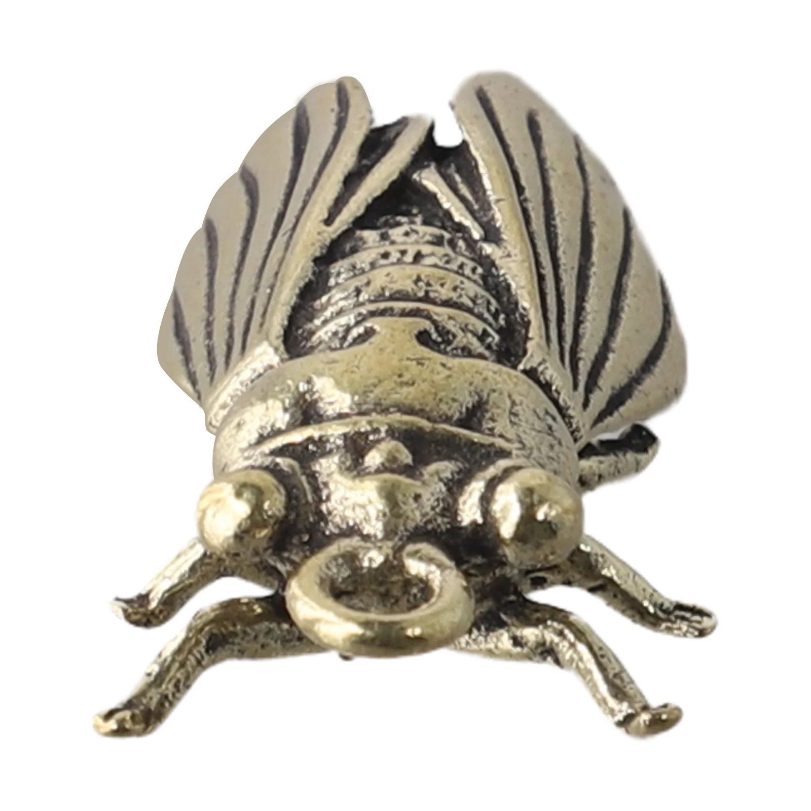 for artisan Made Pure Brass Cicada Statue for Interior Decor Wall Shelf or Desk Display with Rounded Elegant Design