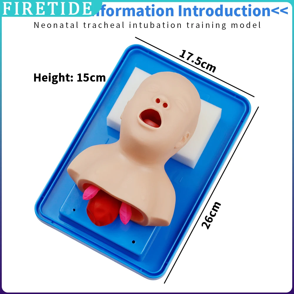 

Neonatal/Infant Tracheal Intubation Model Analog Double Lung and Oral and nasal airway Tracheal Intubation Simulator Teaching