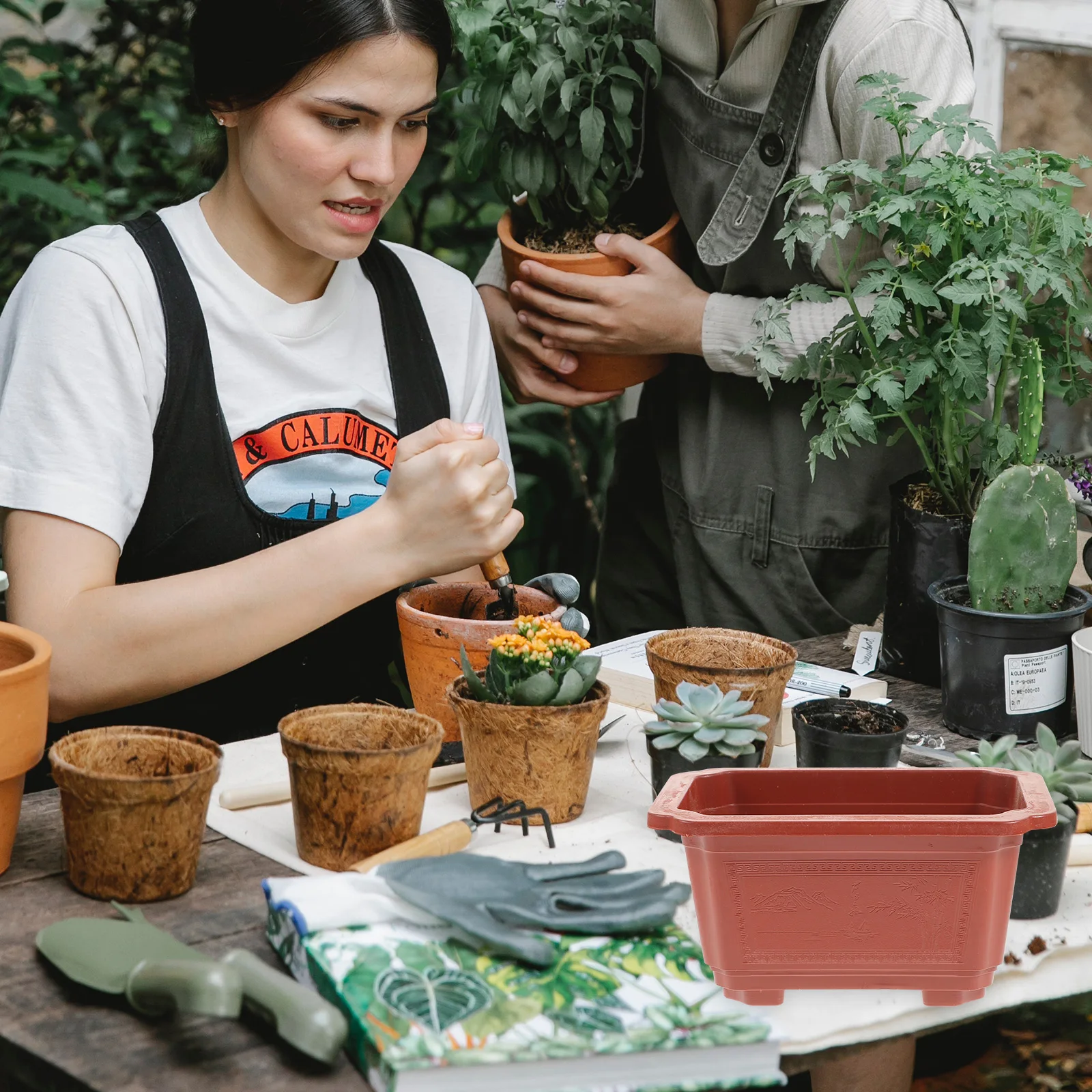 

10Pcs Thick Window Box Flower Pots Durable Plastic Planting Pots for Balcony Vegetable Garden Window Box Flower Pot