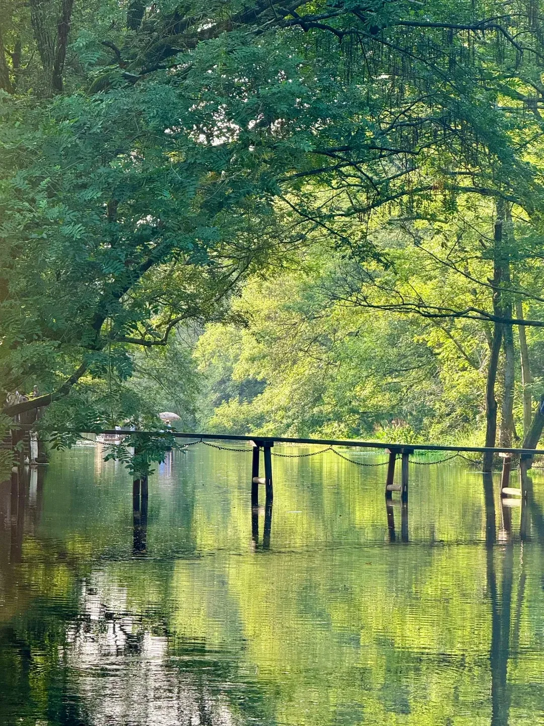 YANG Android 13.0 Auto Touch Screen Car Stereo For Dodge Challenger SRT 2015-2024 Car Radio GPS Navigation CarPlay Head Unit BT