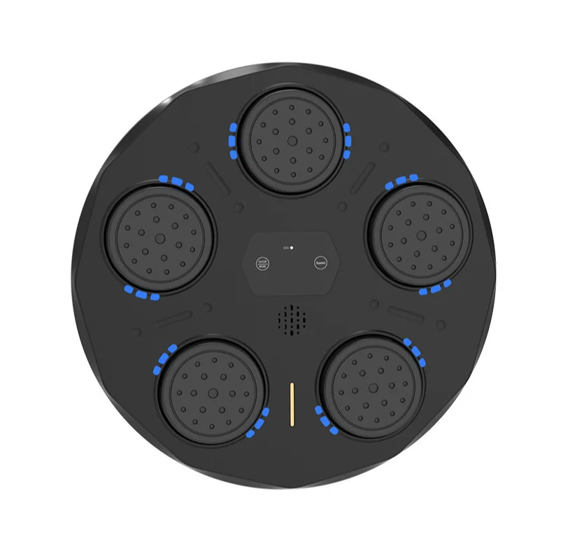 

Adult Home Fitness Training Wall Trainer Bluetooth Music Exercise Smart Boxing Target