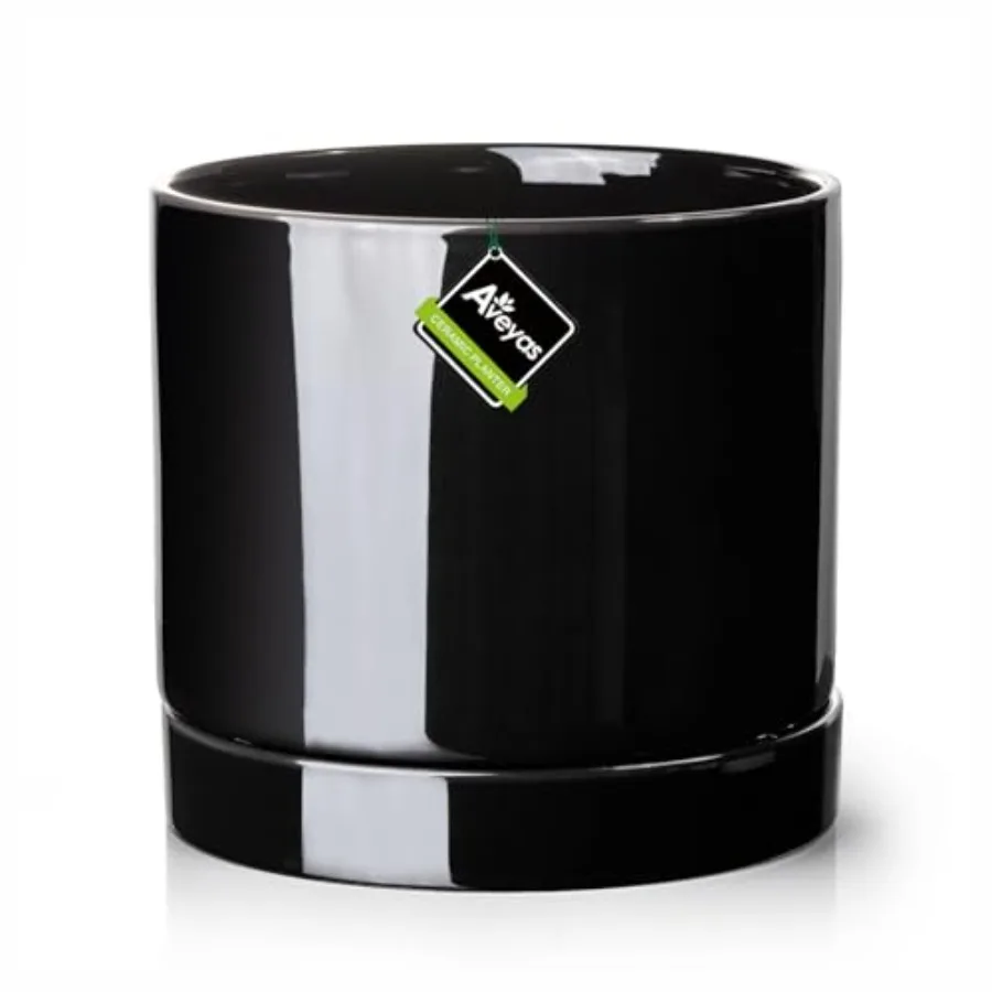 8 H Ceramic Plant P…