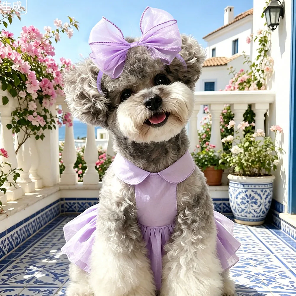Lazos para perros y gatos – 30 unidades color sólido para la cabeza - imagen 5