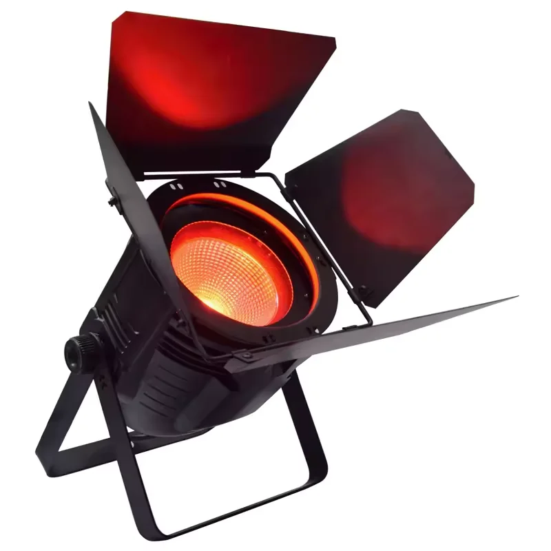 100W RGBW 4IN1 Or Warm White & Cool White COB LED Par Light Wedding Club Bar Party DMX512 Light Stage Spot Light Event Show